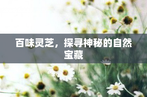探寻神秘的自然宝藏图片