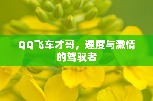 速度与激情的驾驭者图片