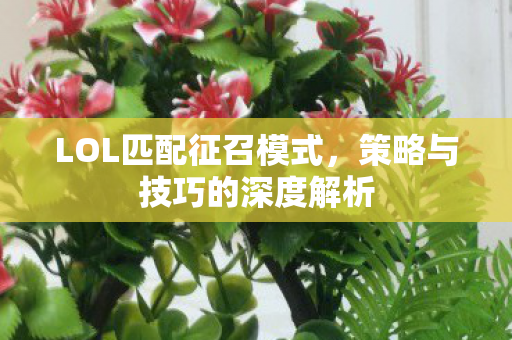 策略与技巧的深度解析图片