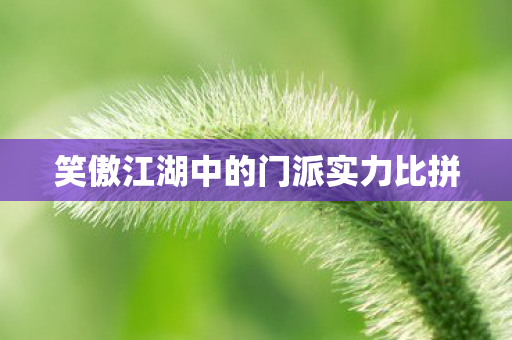 笑傲江湖中的门派实力比拼图片
