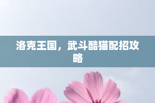 武斗酷猫配招攻略图片