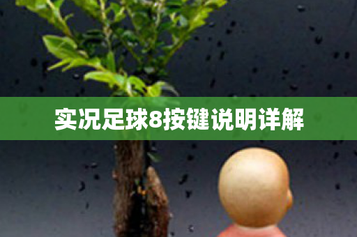 实况足球8按键说明详解图片