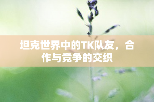坦克世界中的TK队友图片
