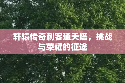 轩辕传奇刺客通天塔图片