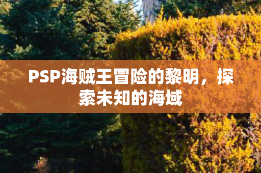 PSP海贼王冒险的黎明图片