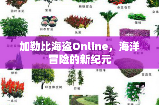 加勒比海盗Online图片