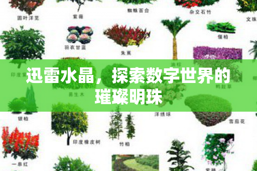 探索数字世界的璀璨明珠图片