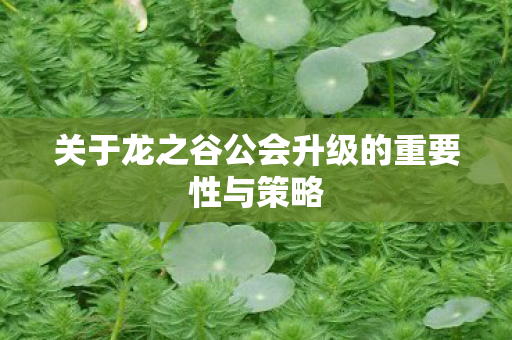 关于龙之谷公会升级的重要性与策略图片