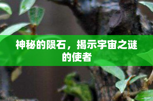 揭示宇宙之谜的使者图片