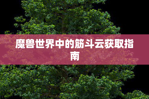 魔兽世界中的筋斗云获取指南图片
