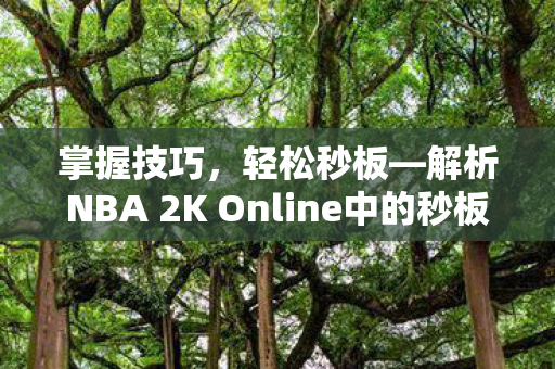 解析NBA 2K Online中的秒板技巧图片