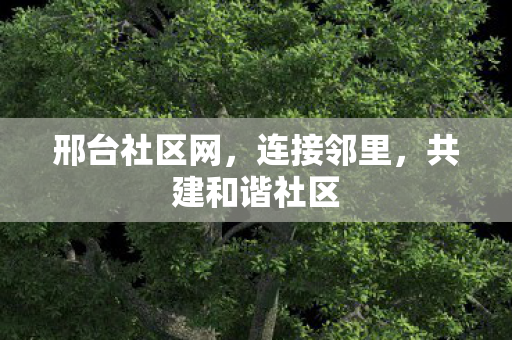 共建和谐社区图片