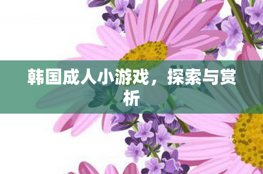 韩国成人小游戏图片