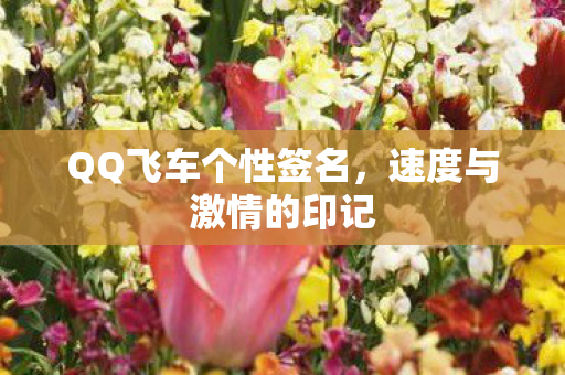 QQ飞车个性签名图片