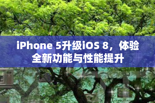 iPhone 5升级iOS 8图片