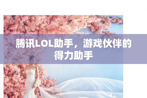 游戏伙伴的得力助手图片