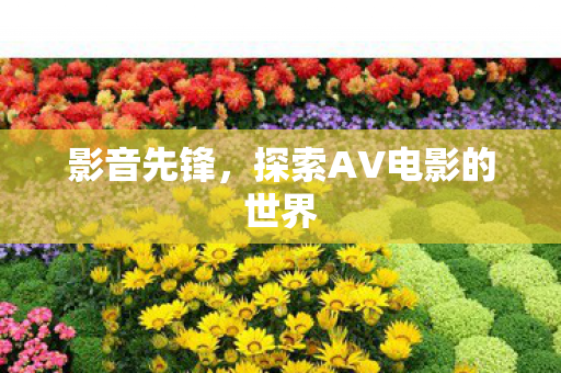 探索AV电影的世界图片