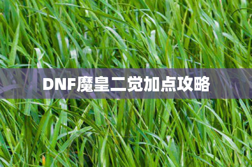 DNF魔皇二觉加点攻略图片