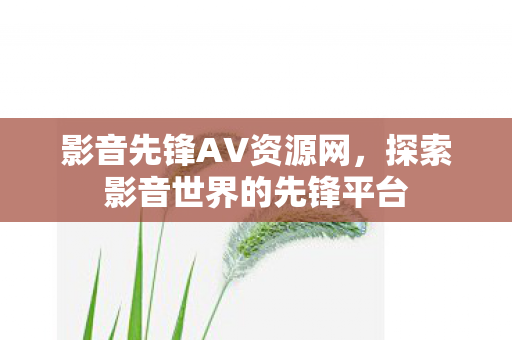 探索影音世界的先锋平台图片