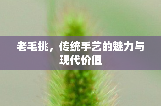 传统手艺的魅力与现代价值图片