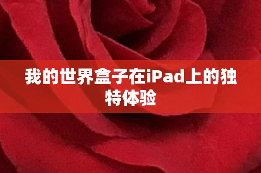 我的世界盒子在iPad上的独特体验图片