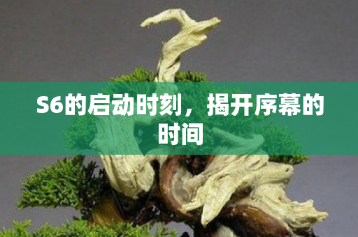 S6的启动时刻图片