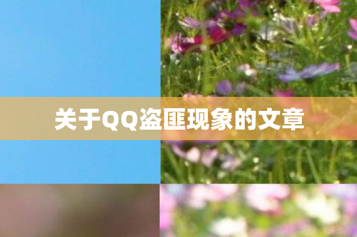 关于QQ盗匪现象的文章图片