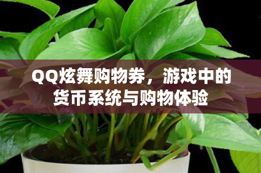游戏中的货币系统与购物体验图片