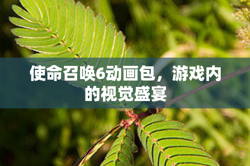 使命召唤6动画包图片