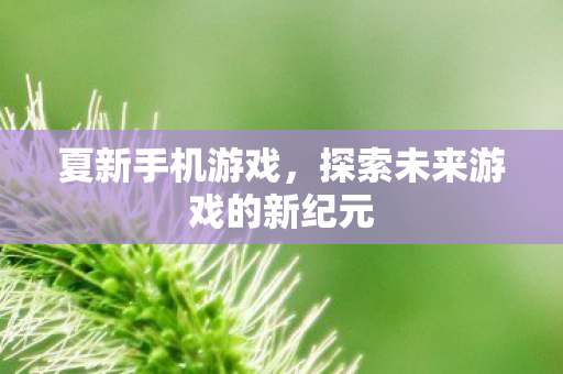 探索未来游戏的新纪元图片