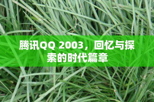 回忆与探索的时代篇章图片