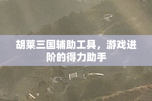 游戏进阶的得力助手图片