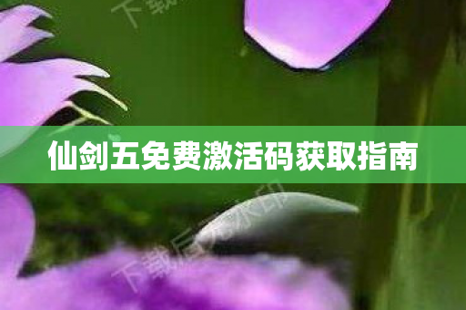 仙剑五免费激活码获取指南图片