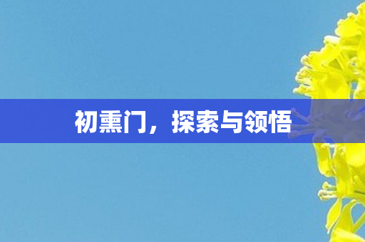 探索与领悟图片