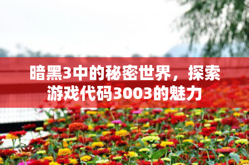 探索游戏代码3003的魅力图片