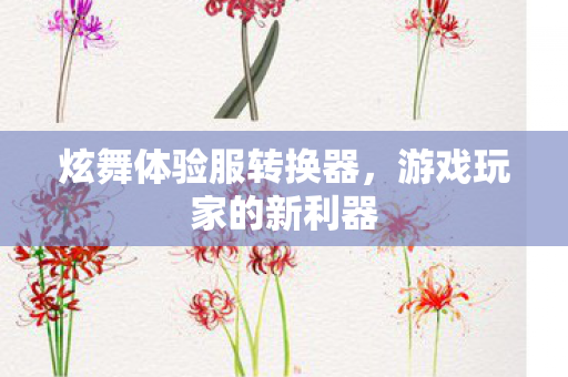 炫舞体验服转换器图片
