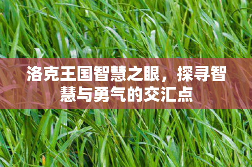 探寻智慧与勇气的交汇点图片