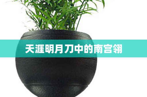天涯明月刀中的南宫翎图片