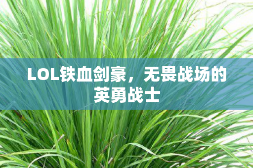 无畏战场的英勇战士图片