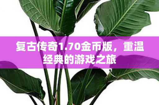 重温经典的游戏之旅图片