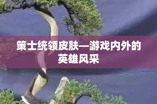 游戏内外的英雄风采图片