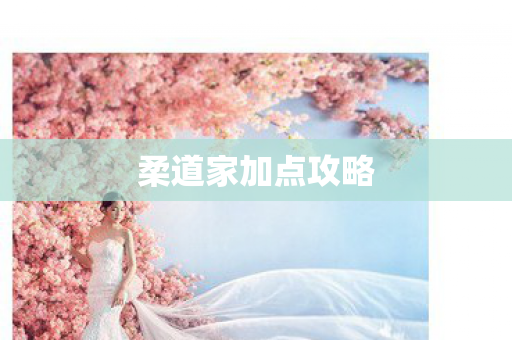 柔道家加点攻略图片