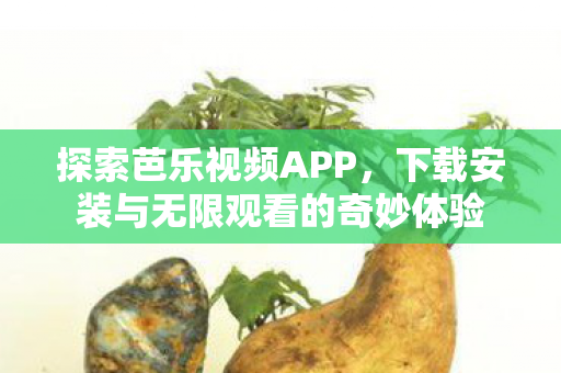 下载安装与无限观看的奇妙体验图片