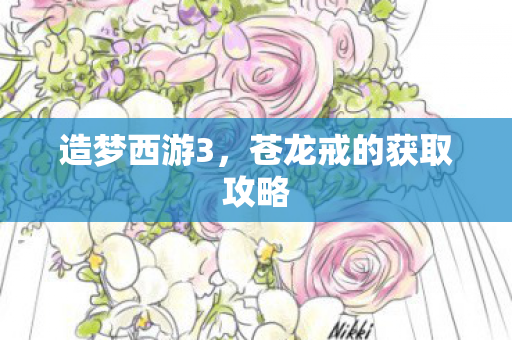 苍龙戒的获取攻略图片