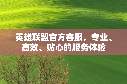 英雄联盟官方客服图片