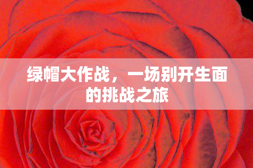 一场别开生面的挑战之旅图片
