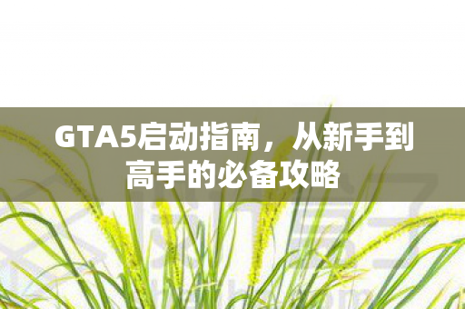 从新手到高手的必备攻略图片