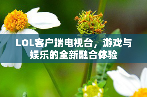 游戏与娱乐的全新融合体验图片