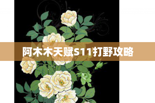 阿木木天赋S11打野攻略图片
