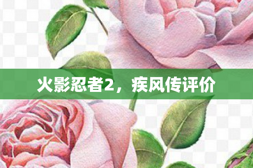 火影忍者2图片